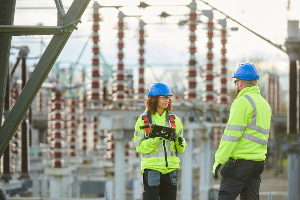 Best Electric Panel Repair  in Cross Roads, TX